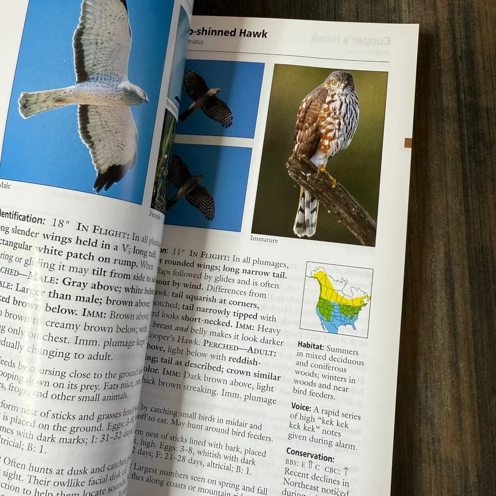 Stokes Field Guide to Birds Eastern Region‎ Wildlife Identification Book